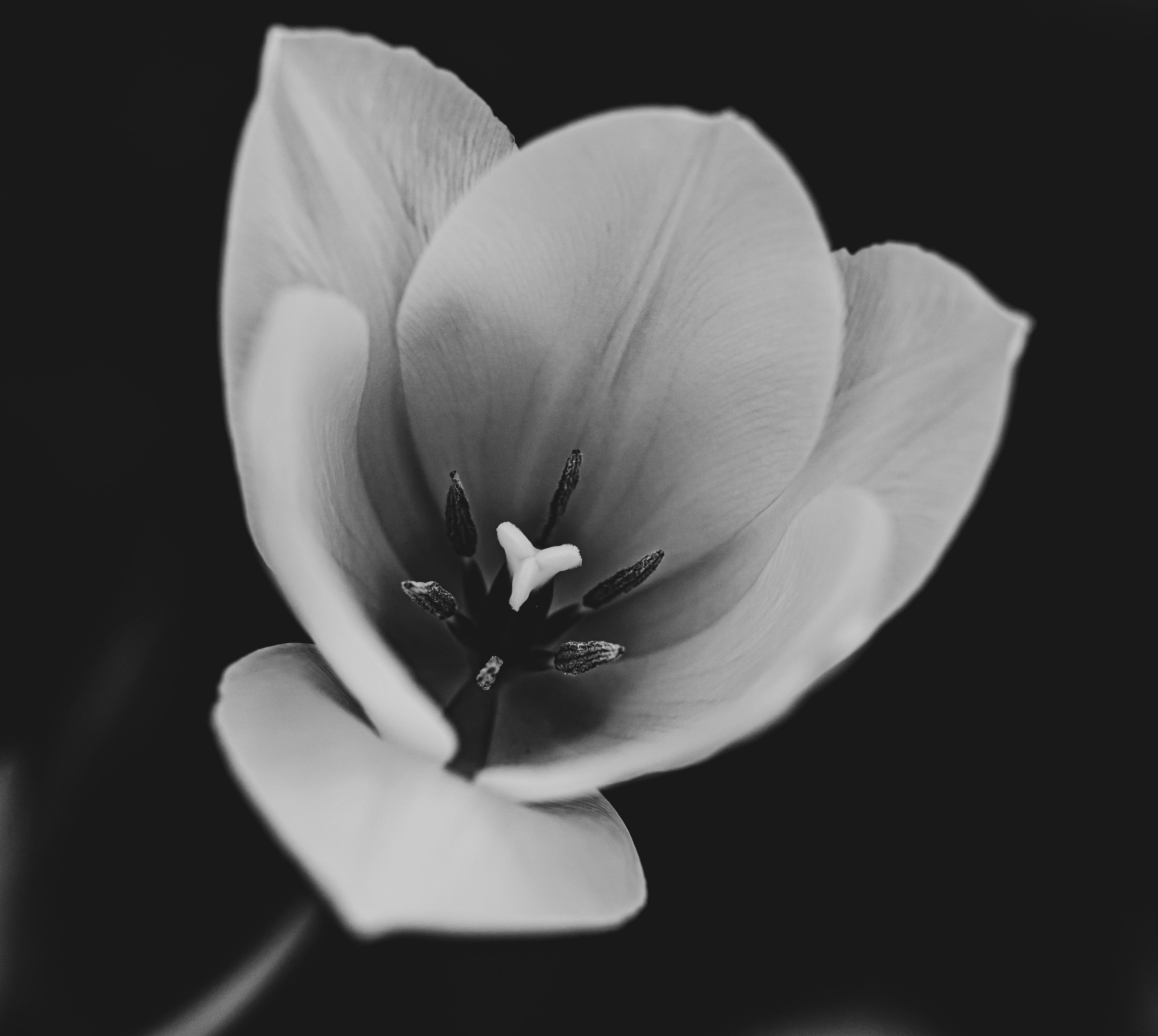 The Art of Feng Shui